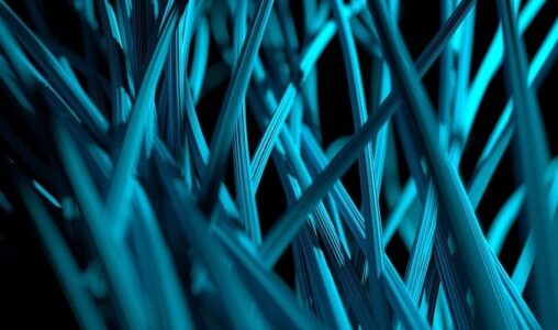 From Data Lake to Data Hub: What is the Road Forward?