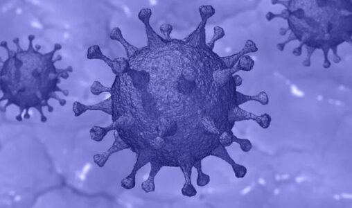 Alation Just Created a Collaborative COVID-19 Data Catalog