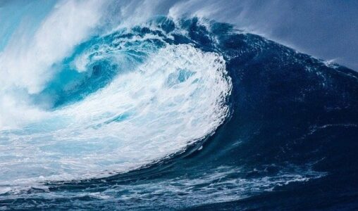 Key Takeaways: Forrester Wave for Machine Learning Data Catalogs, Q4 2020