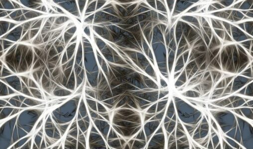 Wireless Mesh Network: The Benefits of Dynamic Wireless Routing